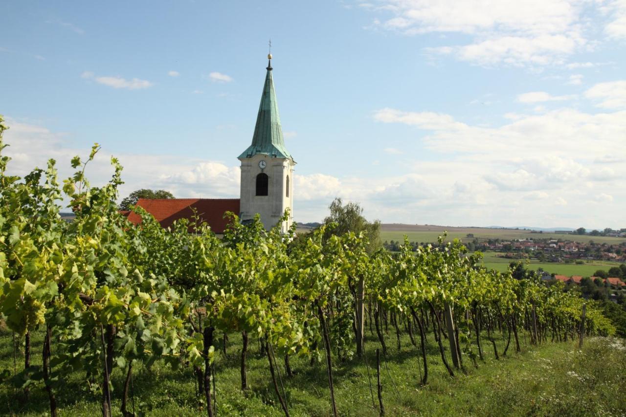 Ubytovani Ve Vinarstvi Medek | Medek House & Winery Uherské Hradiště Exteriör bild