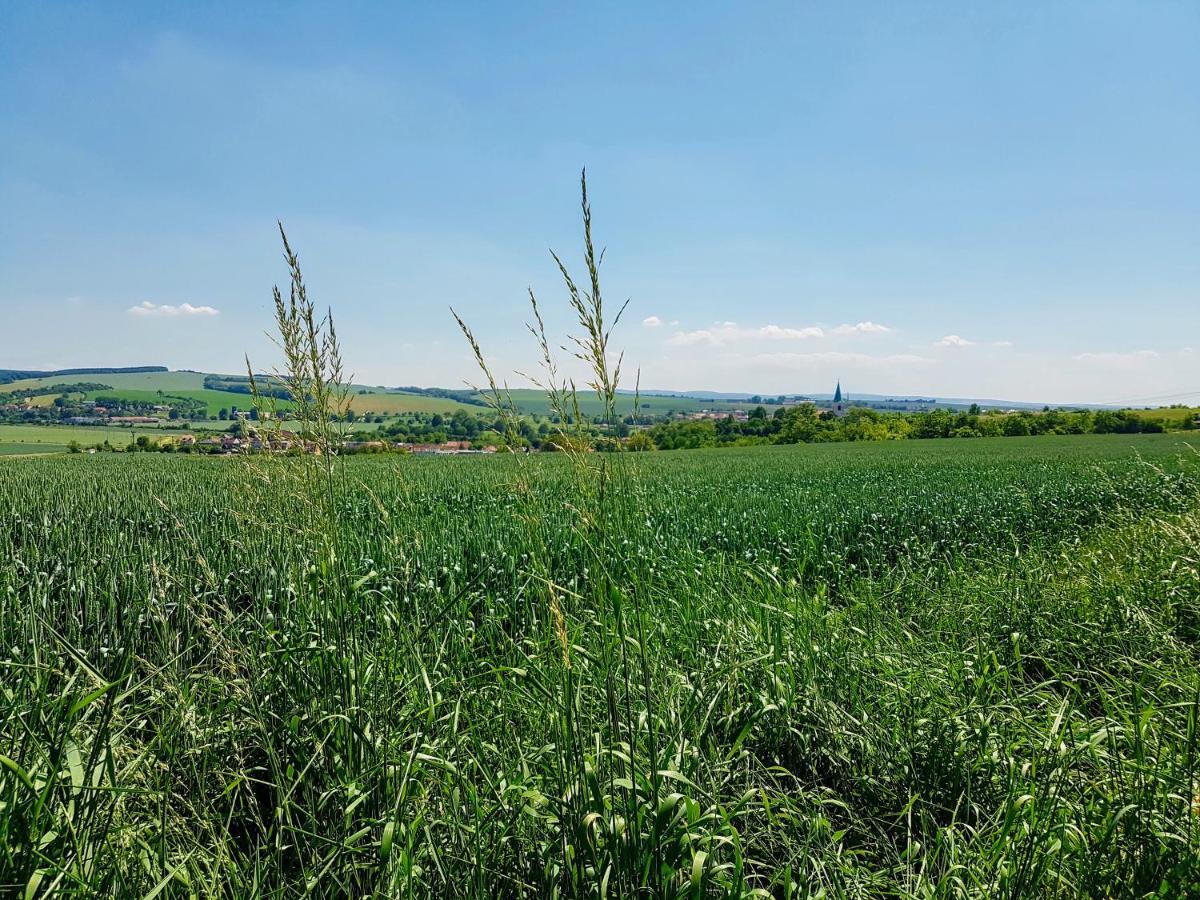Ubytovani Ve Vinarstvi Medek | Medek House & Winery Uherské Hradiště Exteriör bild