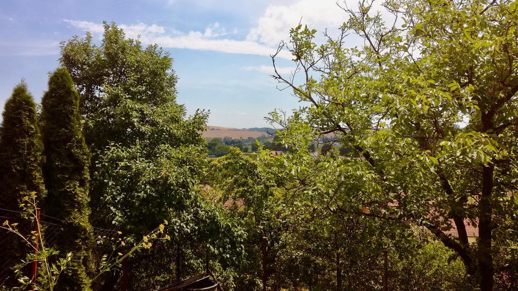 Ubytovani Ve Vinarstvi Medek | Medek House & Winery Uherské Hradiště Exteriör bild
